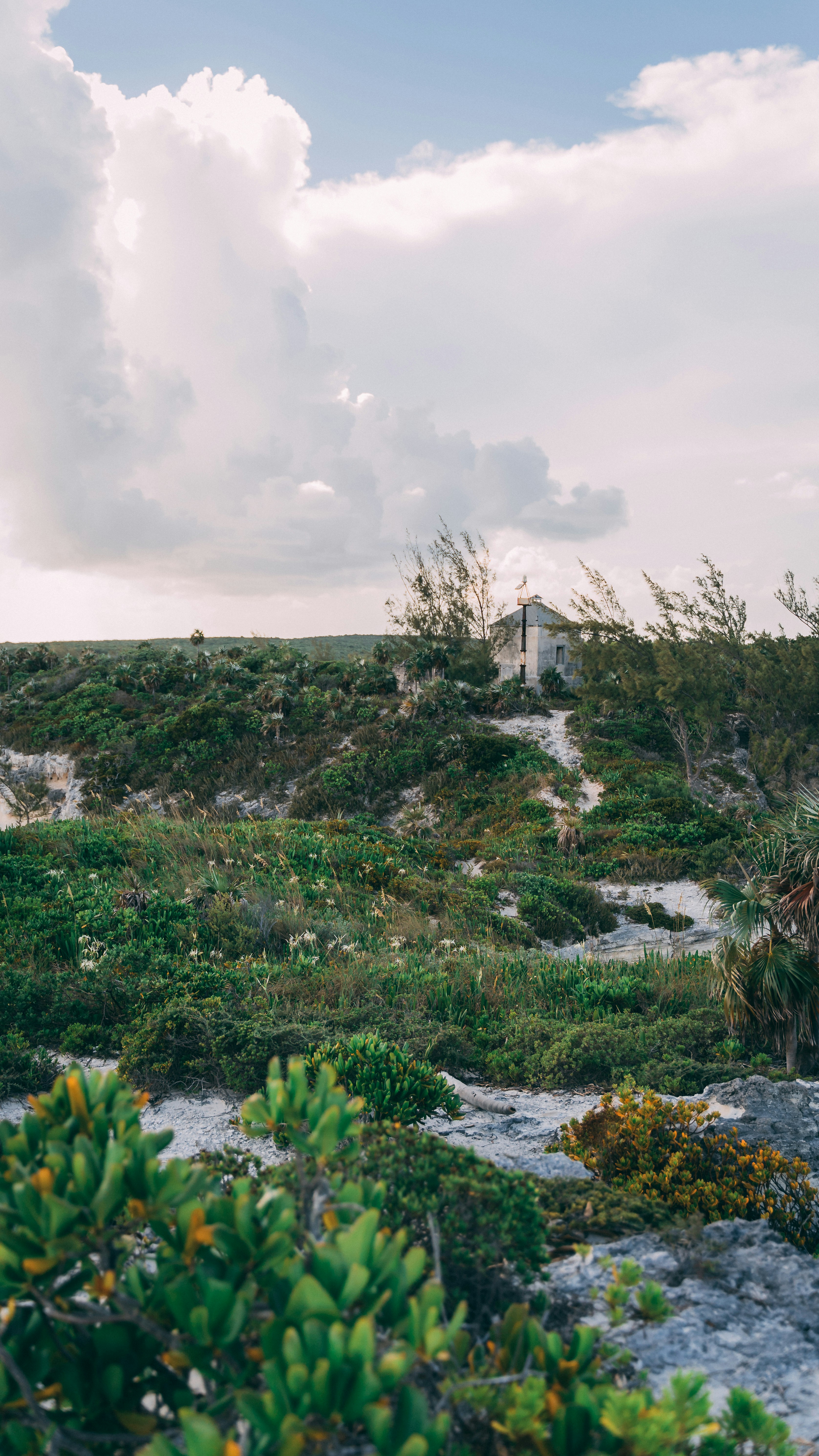 Photo by davisthecameraguy