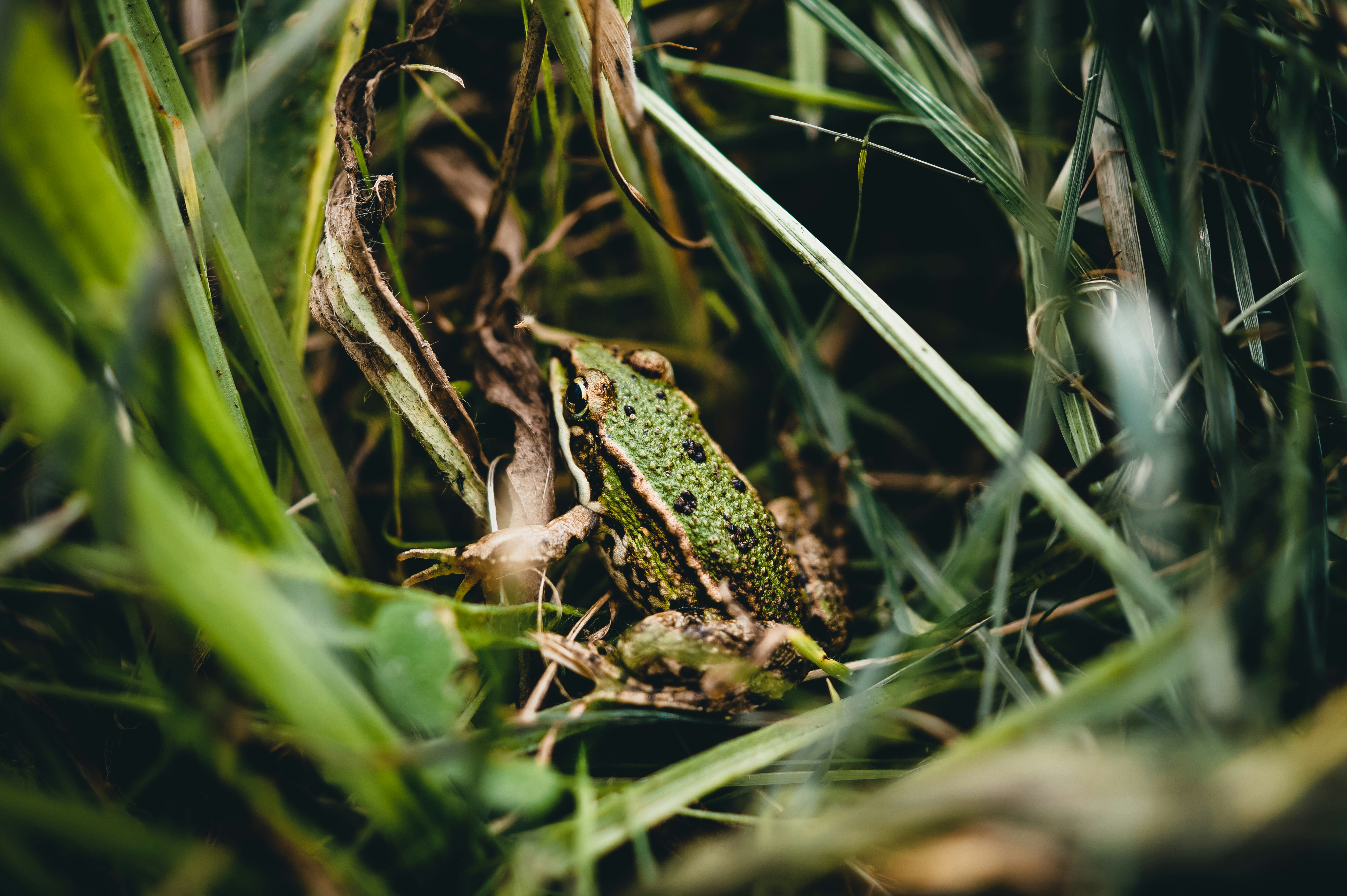 Photo by larsgreefhorst