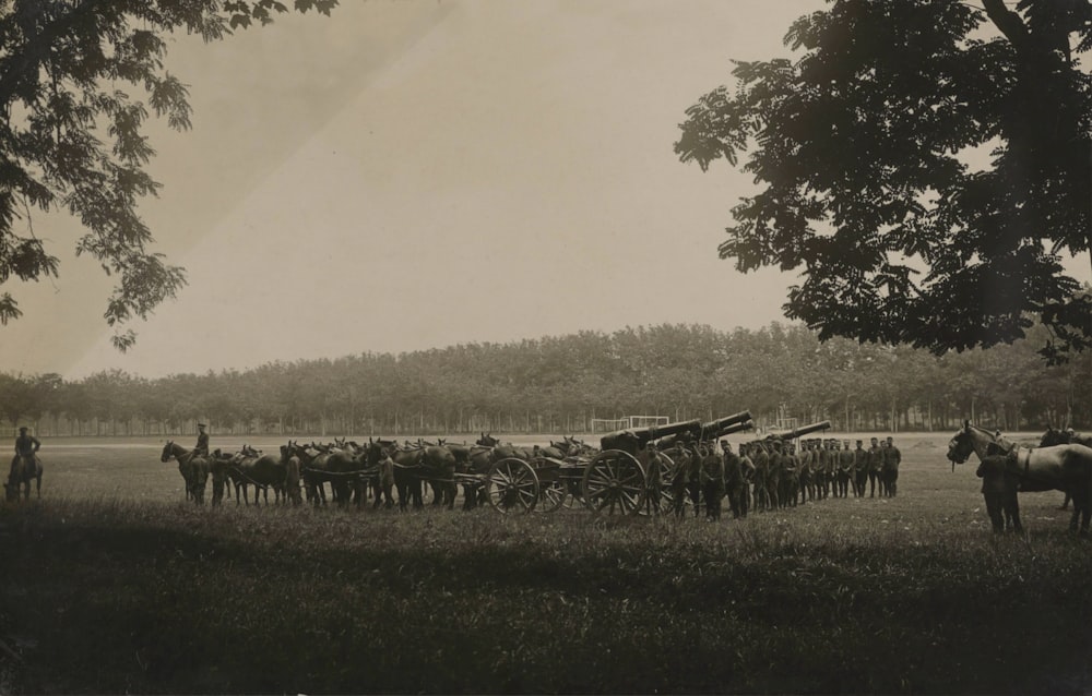 grayscale photo of horses on grass field