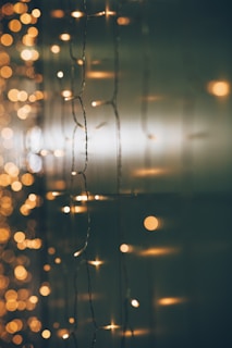 a bunch of christmas lights