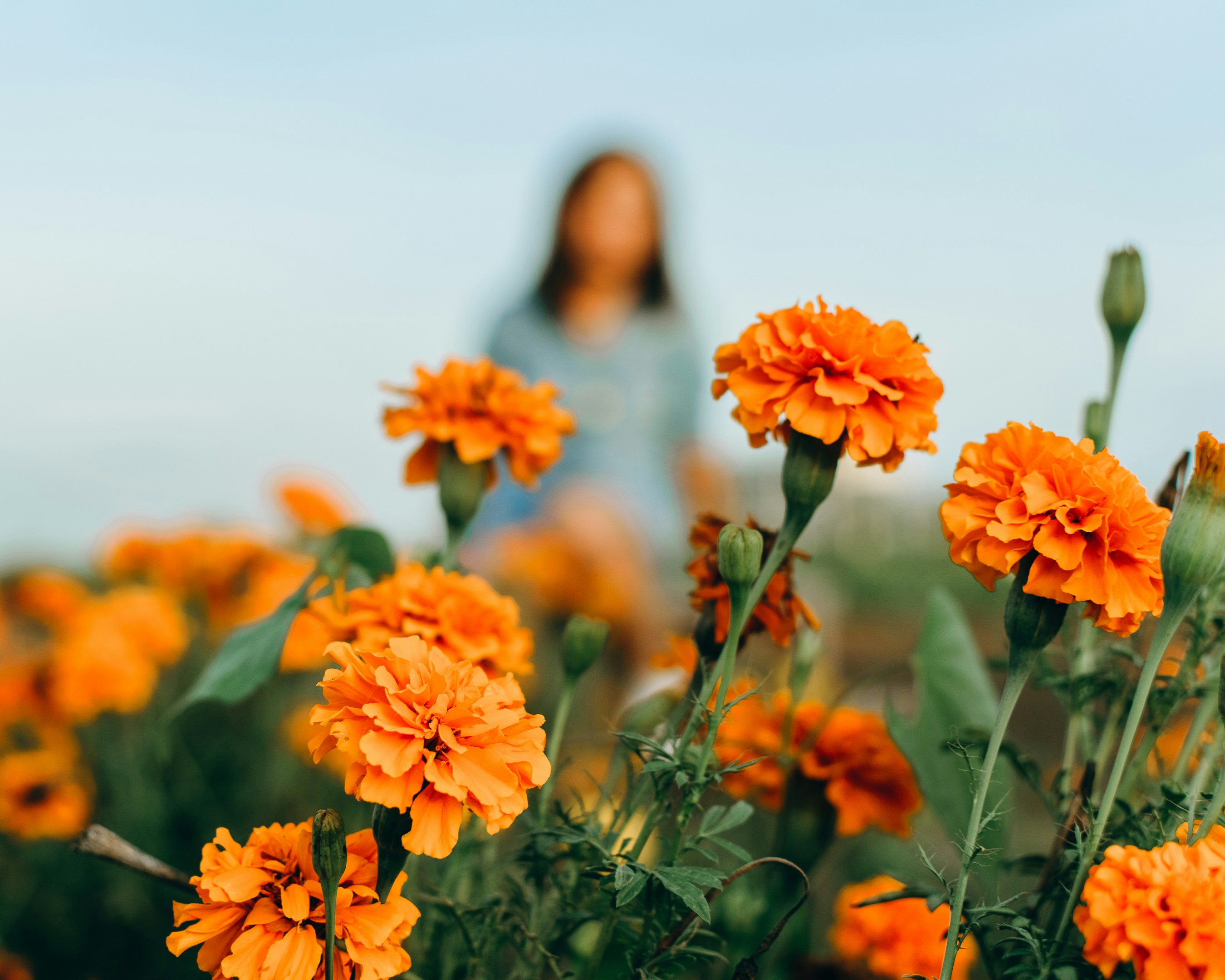 Photo by sbellocillo