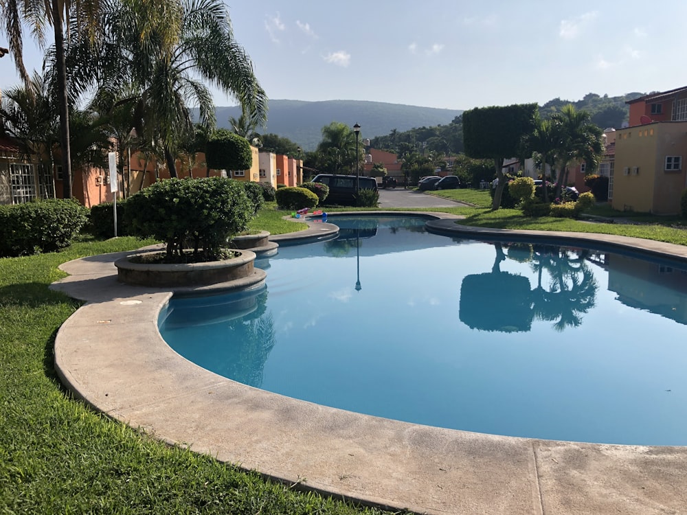 topiary plants beside pool