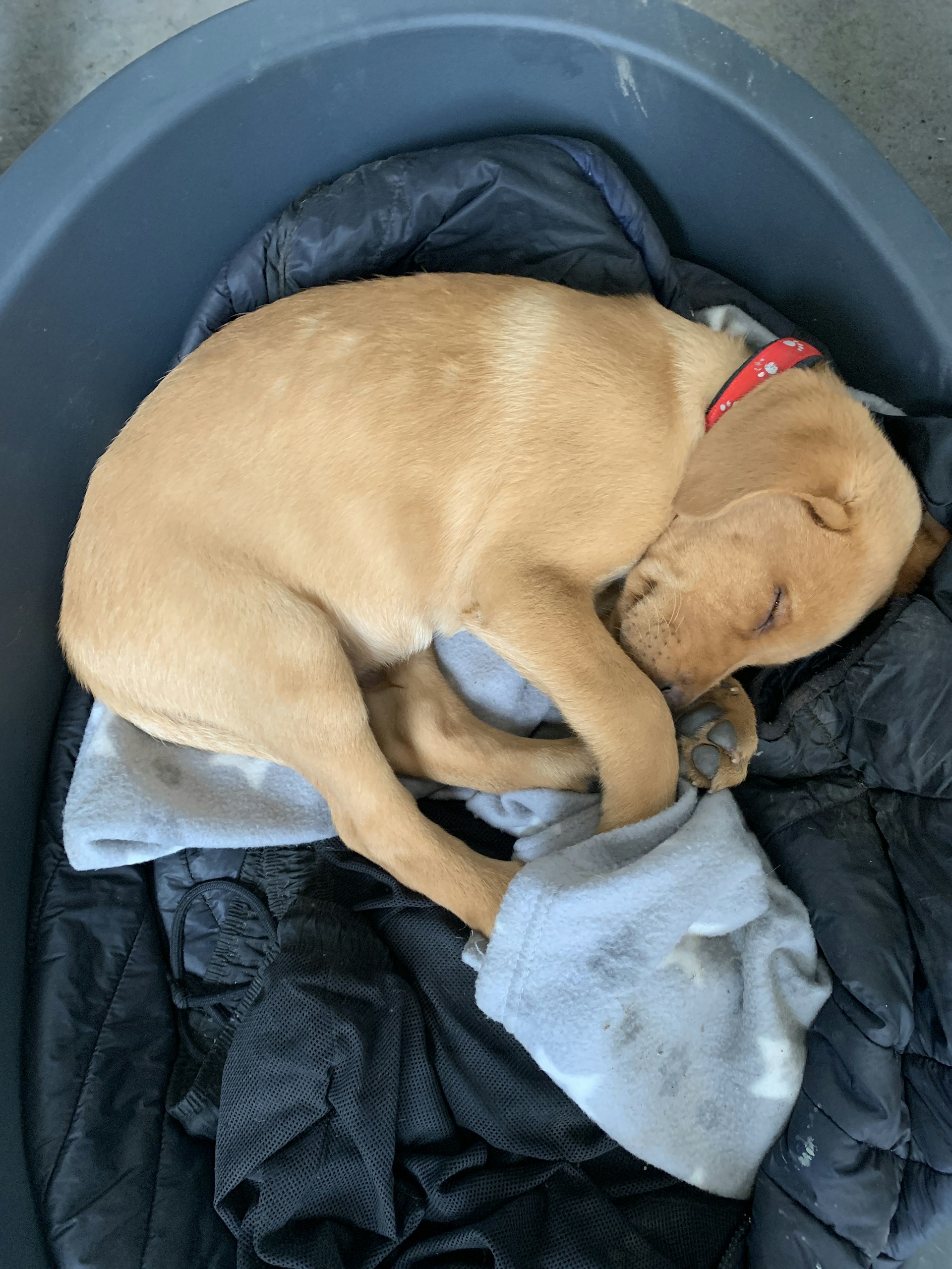 woman wearing yellow long-sleeved dress under white clouds and blue sky during daytime