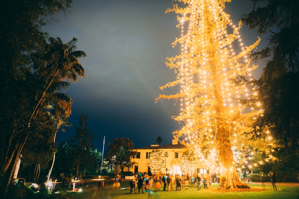 yellow Christmas tree with string lights outdoor decor