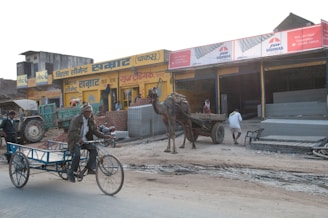 A busy street scene with a man riding a tricycle cart and a camel pulling a cart in front of multiple shops. The shops have colorful signage in Hindi and there are stacks of metal sheets and bricks in front. A tractor is visible, and several people are walking around, some in traditional attire.