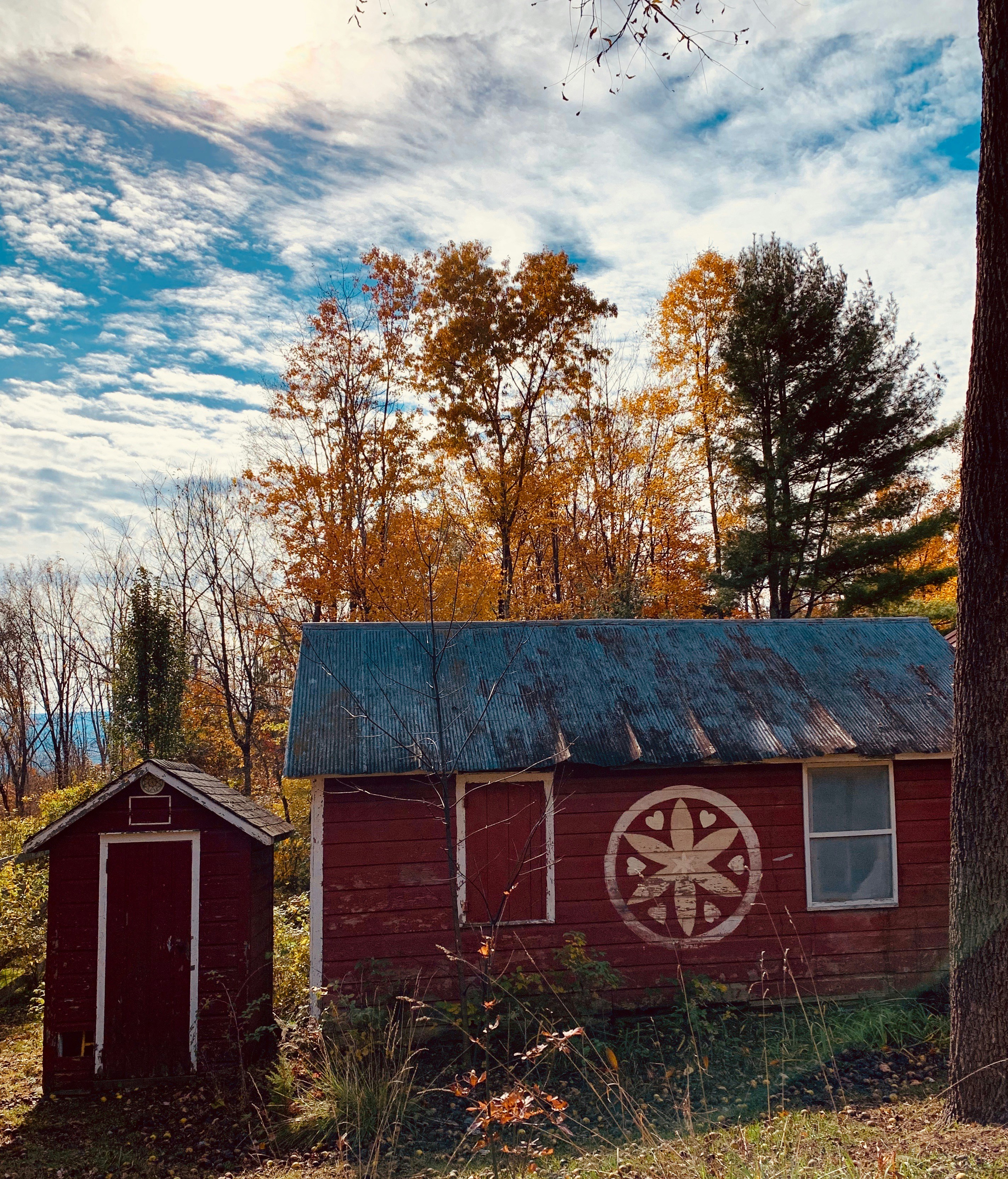 red wooden house and shed near trees under blue cloudy sky