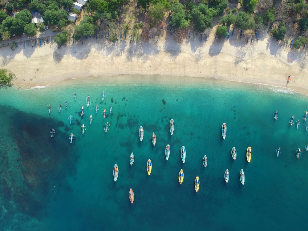 assorted boats on sea near shore