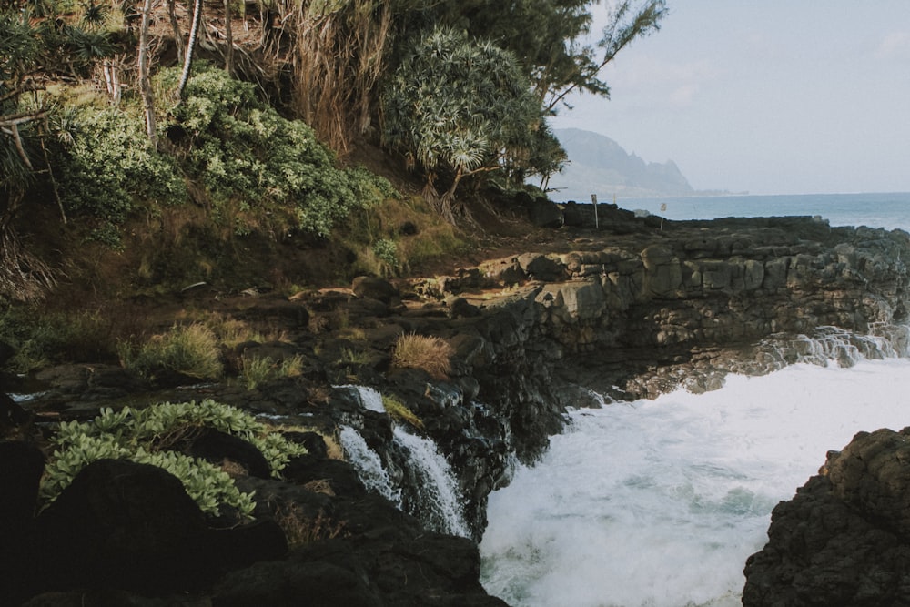 landscape photography of trees and rock formation near body of water