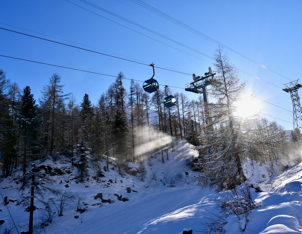 sun rays coming through green trees and cable cars under blue sky