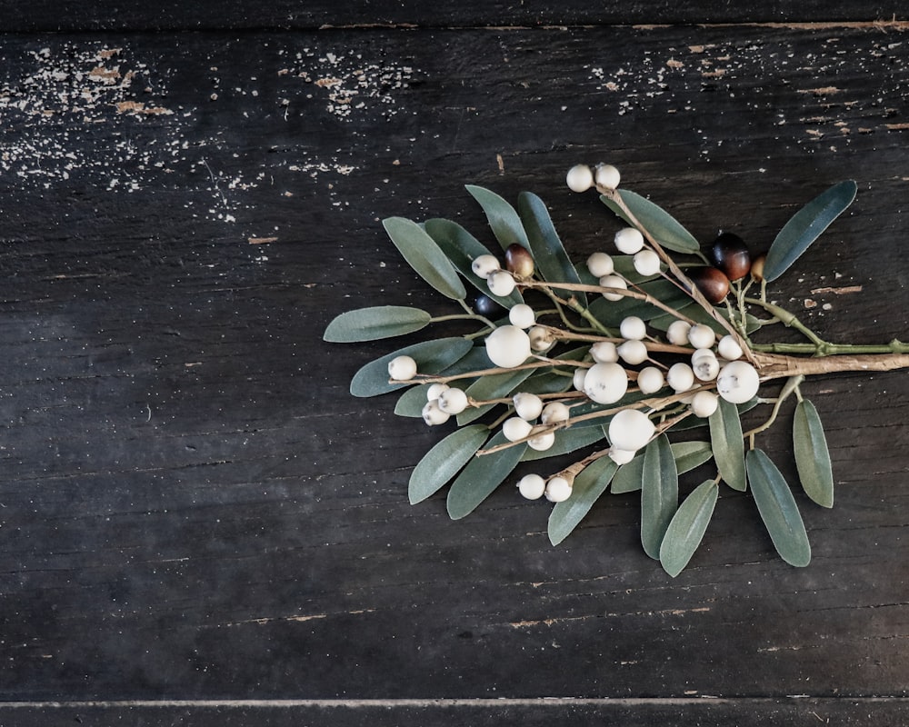 green-leafed plant