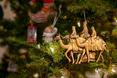 brown camel christmas tree decor wise men teams background
