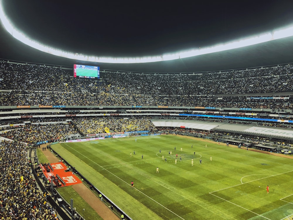 group of people playing soccer