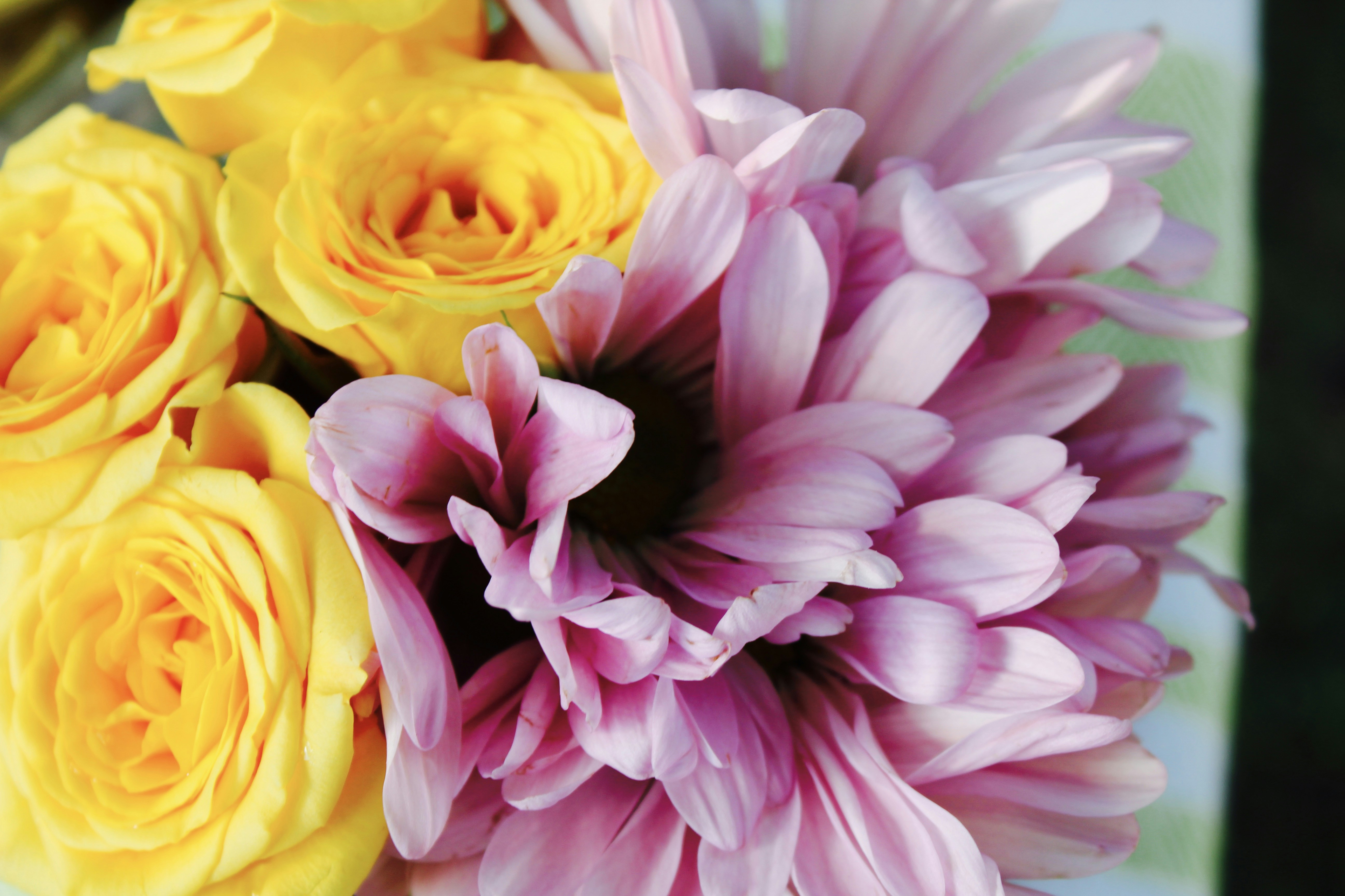 Photo by bridqgetbrooks