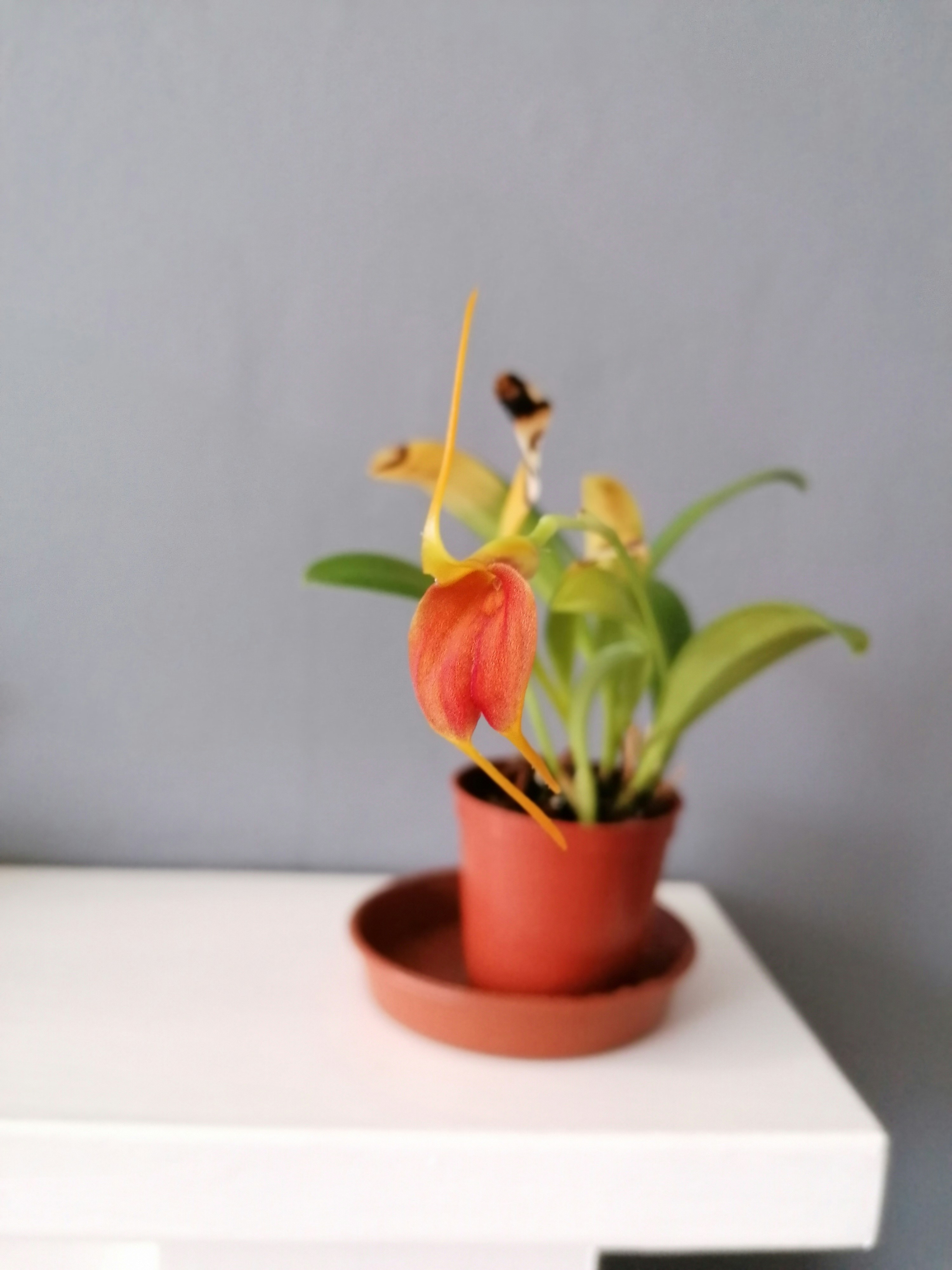 Photo by sherrynatalya