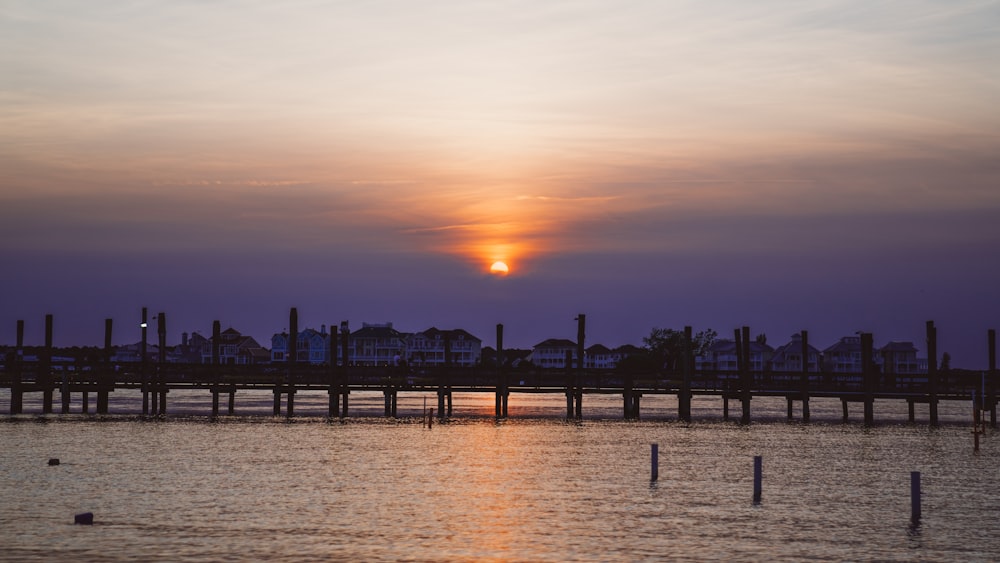 view photography of wooden dock during dawn