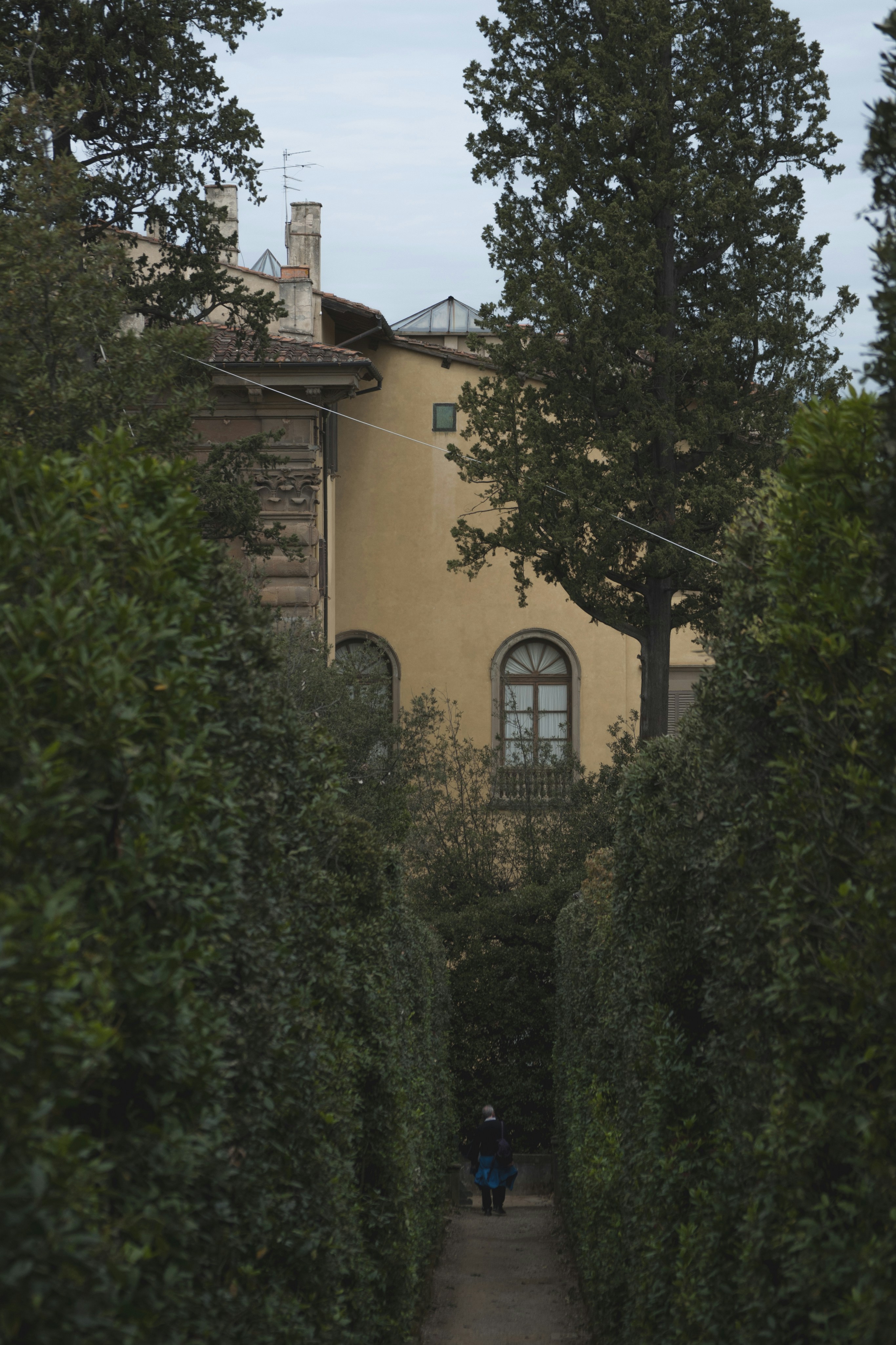 green plants outside beige house