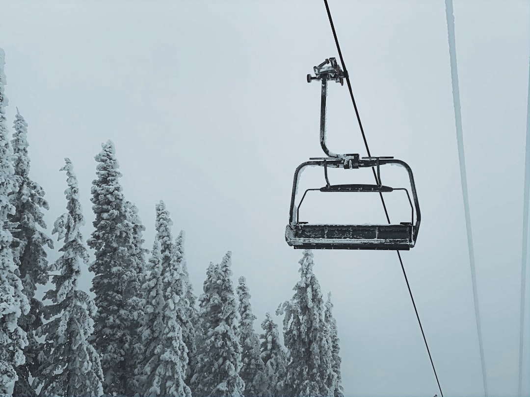 snow covered trees near ski lift during day