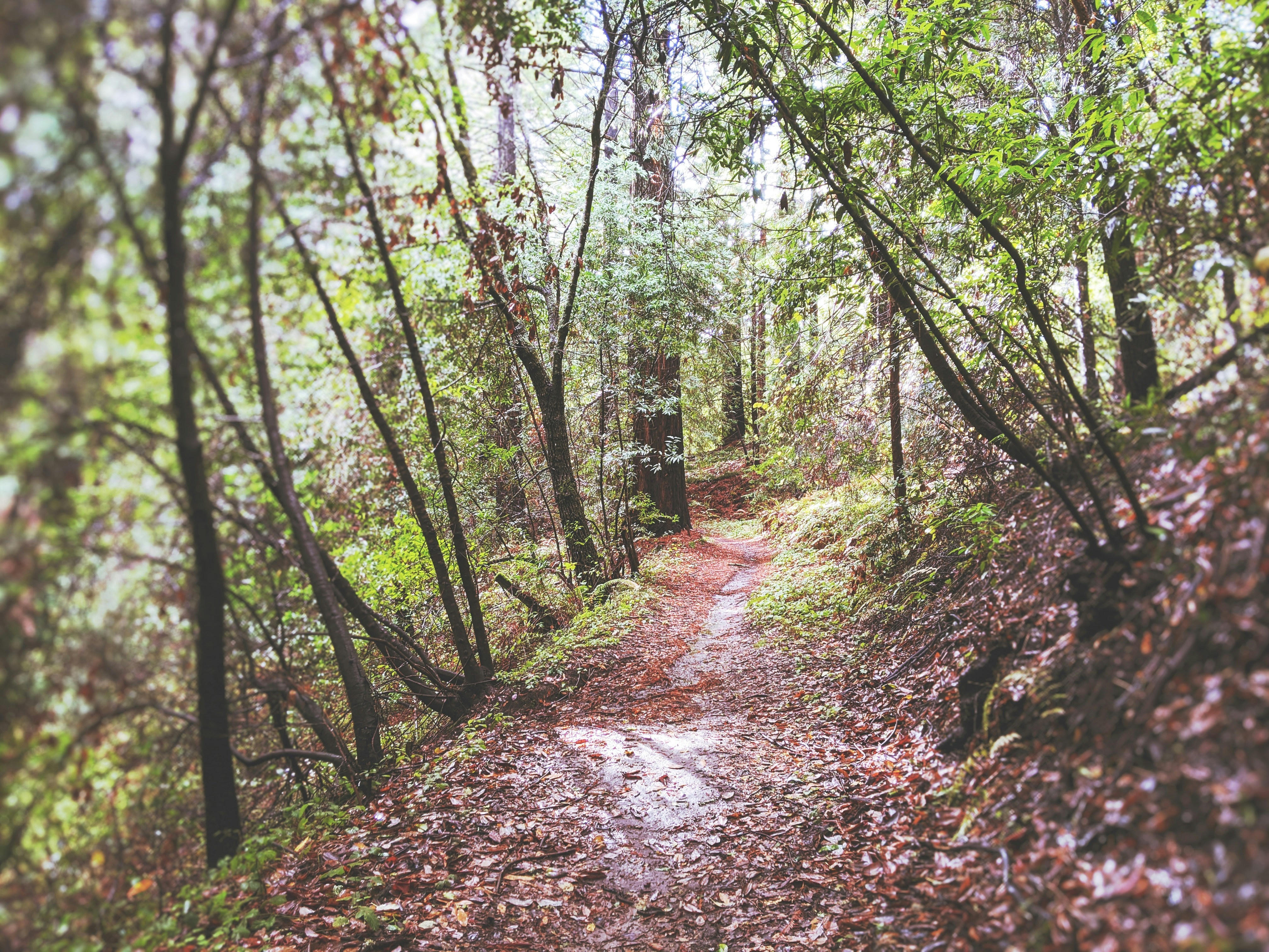 Photo by thejacobstone