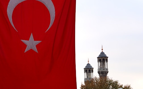 A large Turkish flag with a prominent red background and a white star and crescent is prominently displayed on the left side. In the background, two ornate minarets rise against a cloudy sky, partially obscured by treetops.