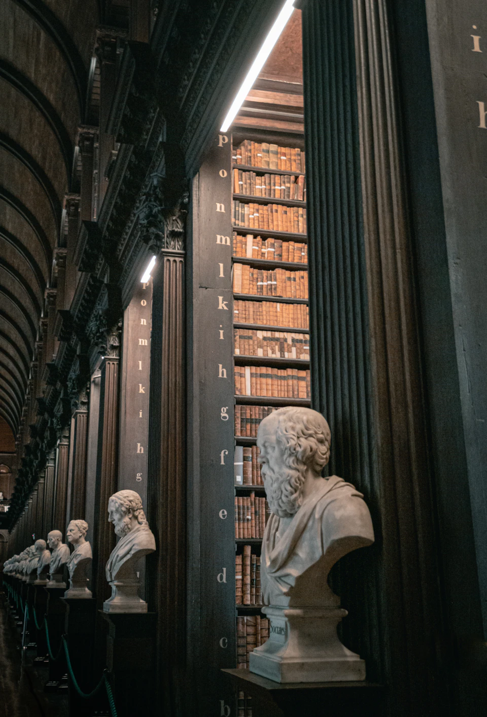 The image depicts a serene scene within a library, with a row of white marble busts displayed on black pedestals. The first bust is positioned slightly to the left and stands out prominently against the backdrop of the room. The second bust is located in the center of the row, flanked by two more busts on either side. The third bust is situated towards the right end of the row. Each bust is meticulously crafted with intricate details, showcasing the skill and artistry involved in creating these masterpieces. The library itself features a high ceiling adorned with columns that add an air of grandeur to the space.