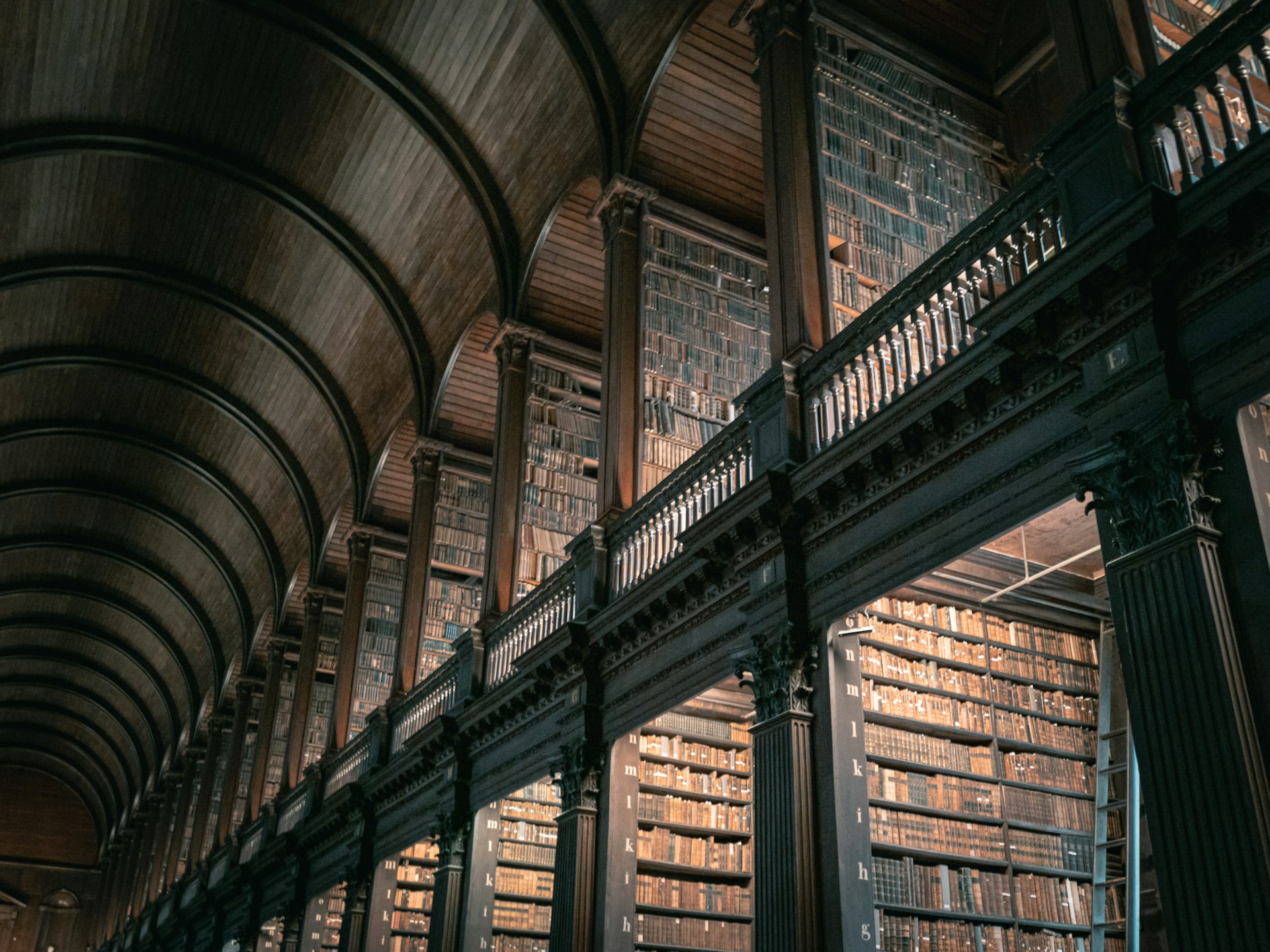 collection of books on shelf