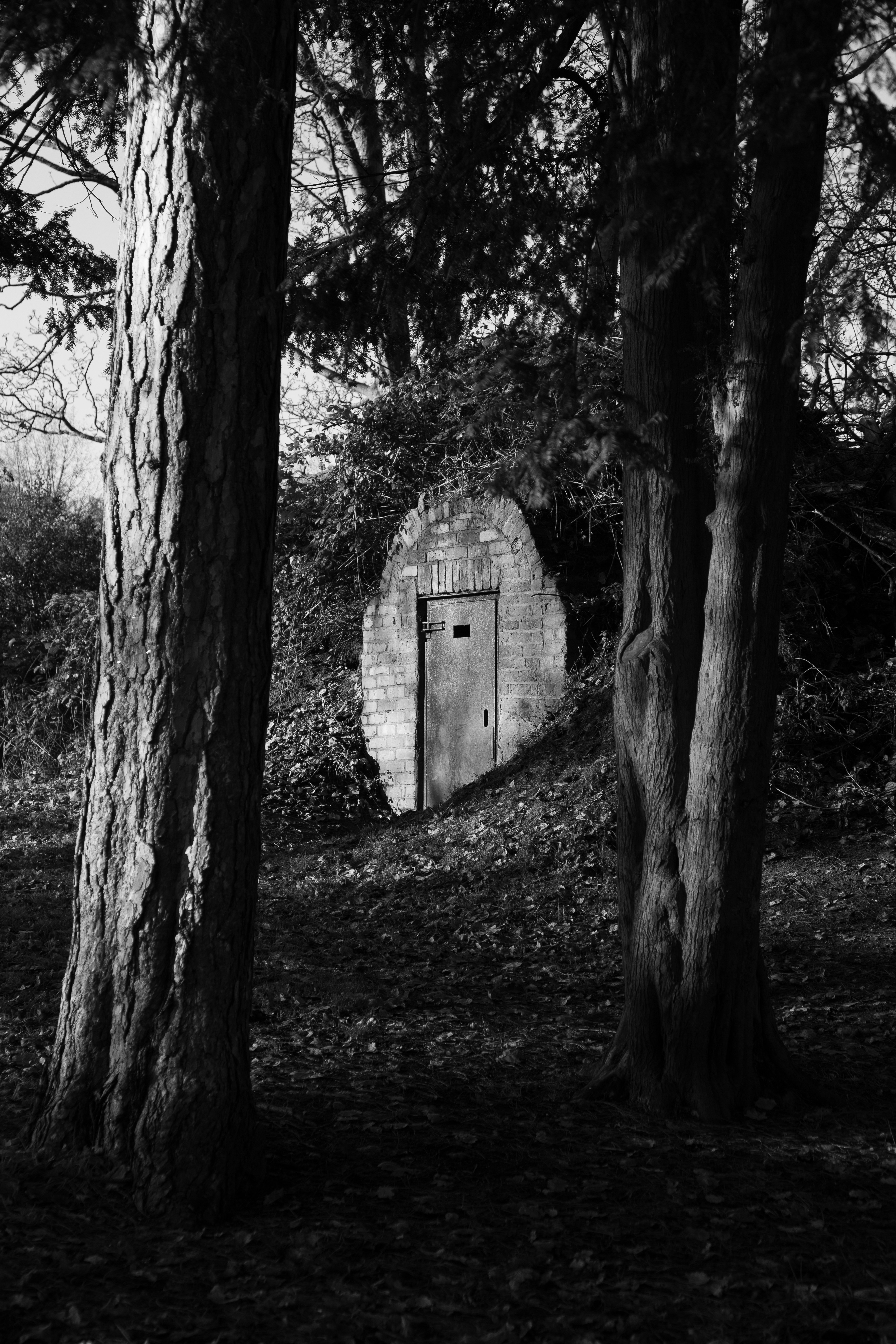 Photo by matthew_daniels