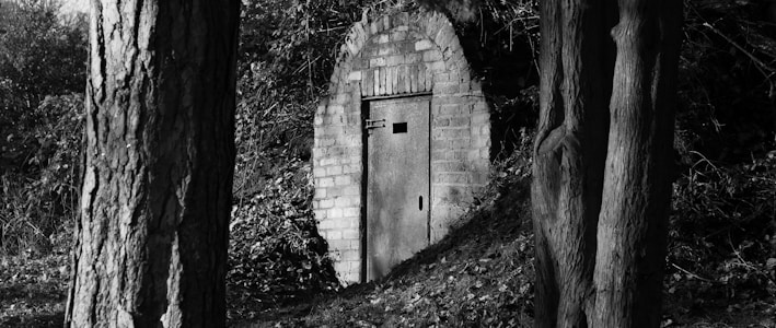underground bunker prepper shelter shtf 