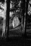 underground bunker prepper shelter shtf 
