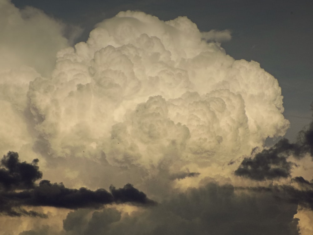 cumulus clouds