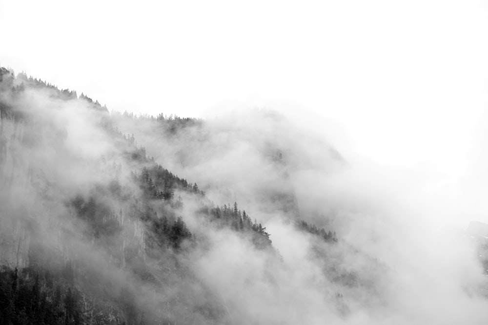 view photography of foggy mountain