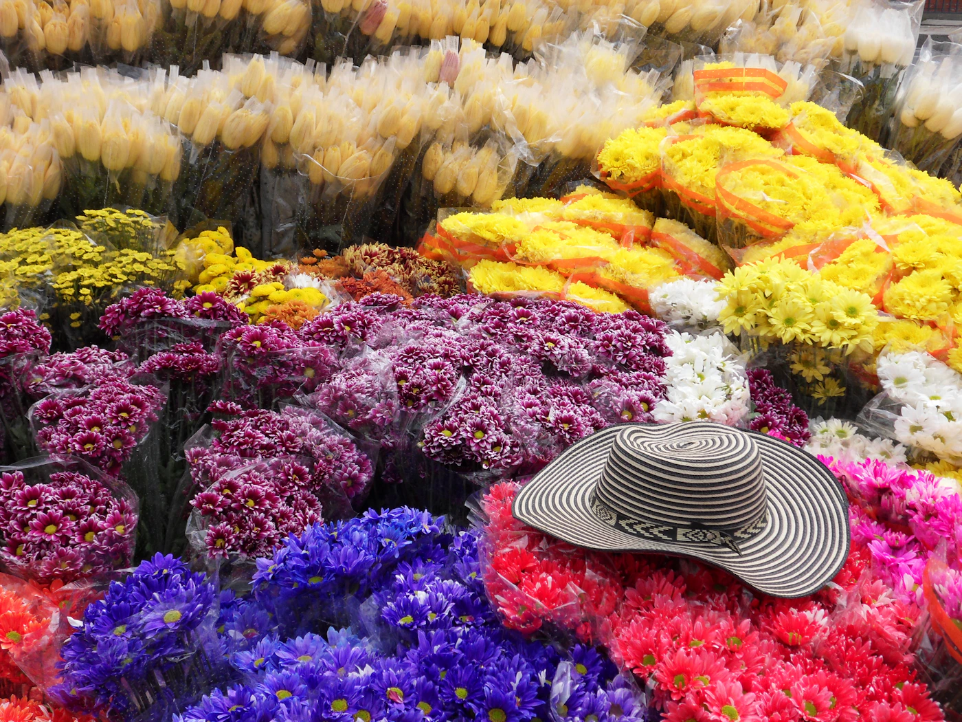 Colourful flower market stall in Bogota Colombia with bunches of bright yellow orange pink and purple flowers and a traditional Colombian sombrero vueltiao hat resting on the blooms