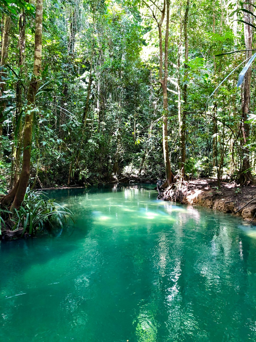 Jungle photo spot West Papua Indonesia
