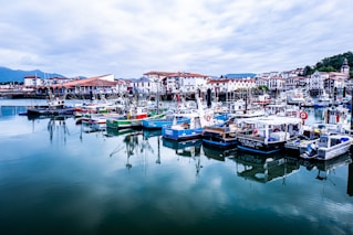 boats in pier