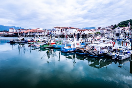 Les Alcyons things to do in Saint-Jean-de-Luz