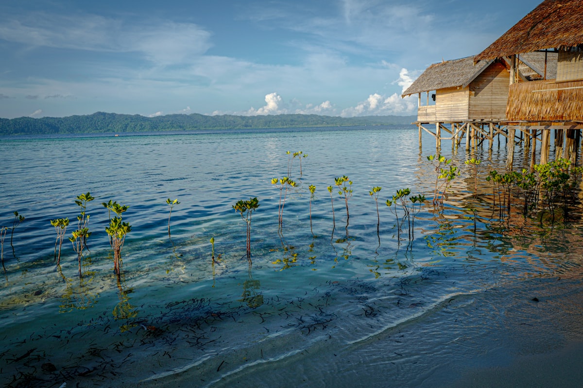 Remote coastal hut on the Raja Ampat shoreline, Batanta island