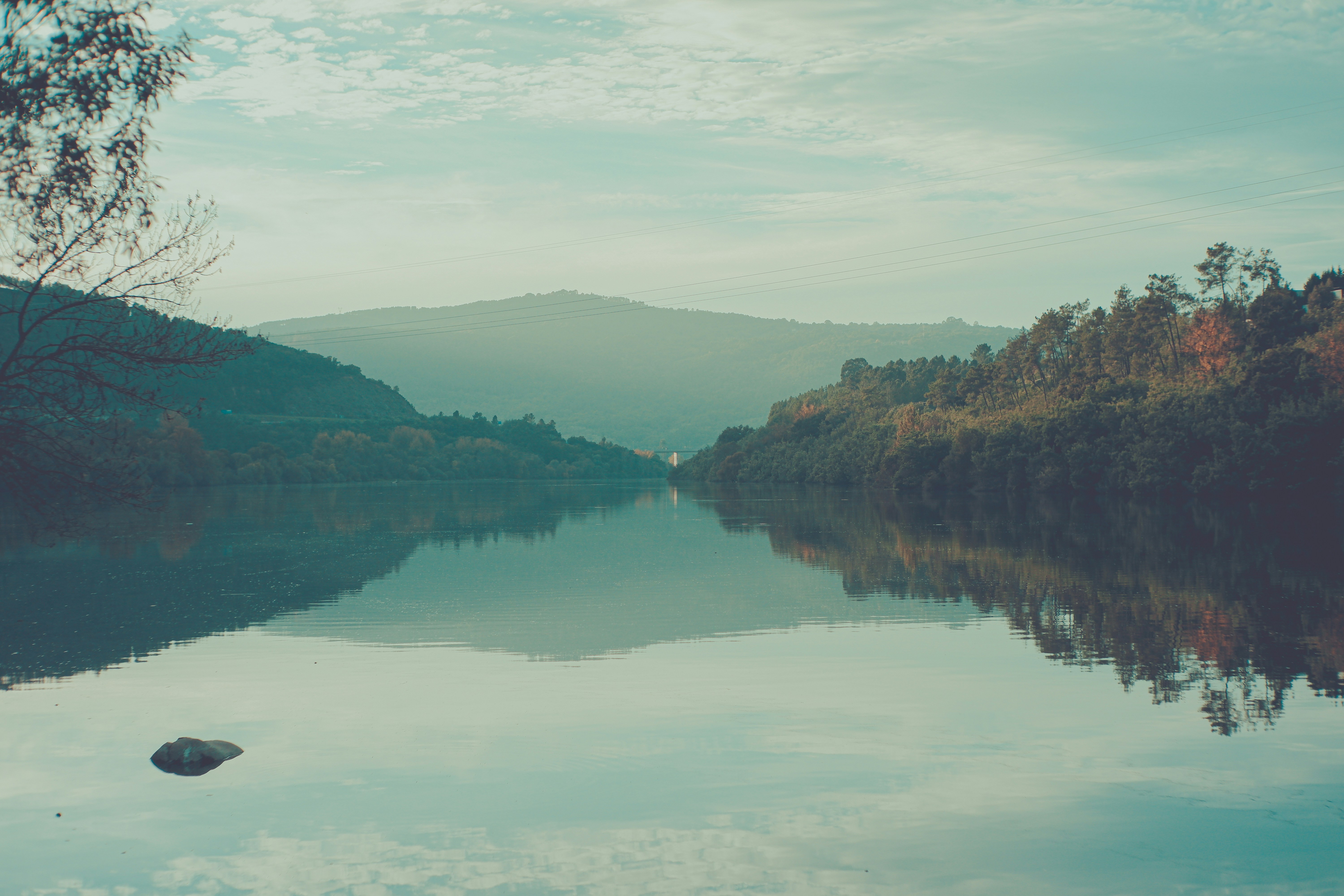 Photo by aperturevintage