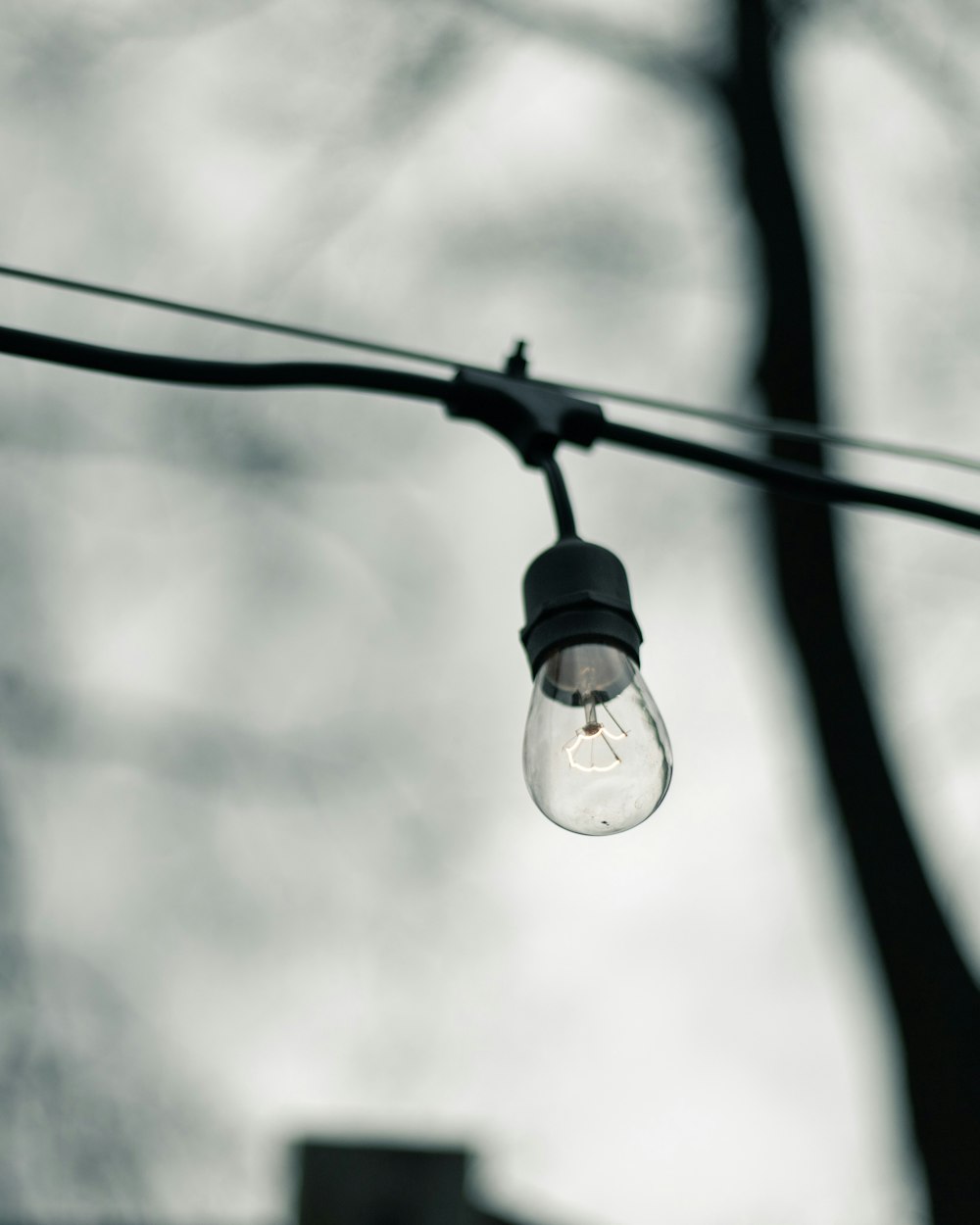 clear and black light bulb turned-off