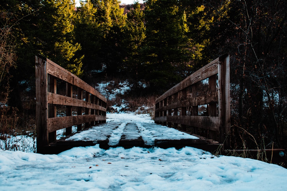 brown wooden bridge