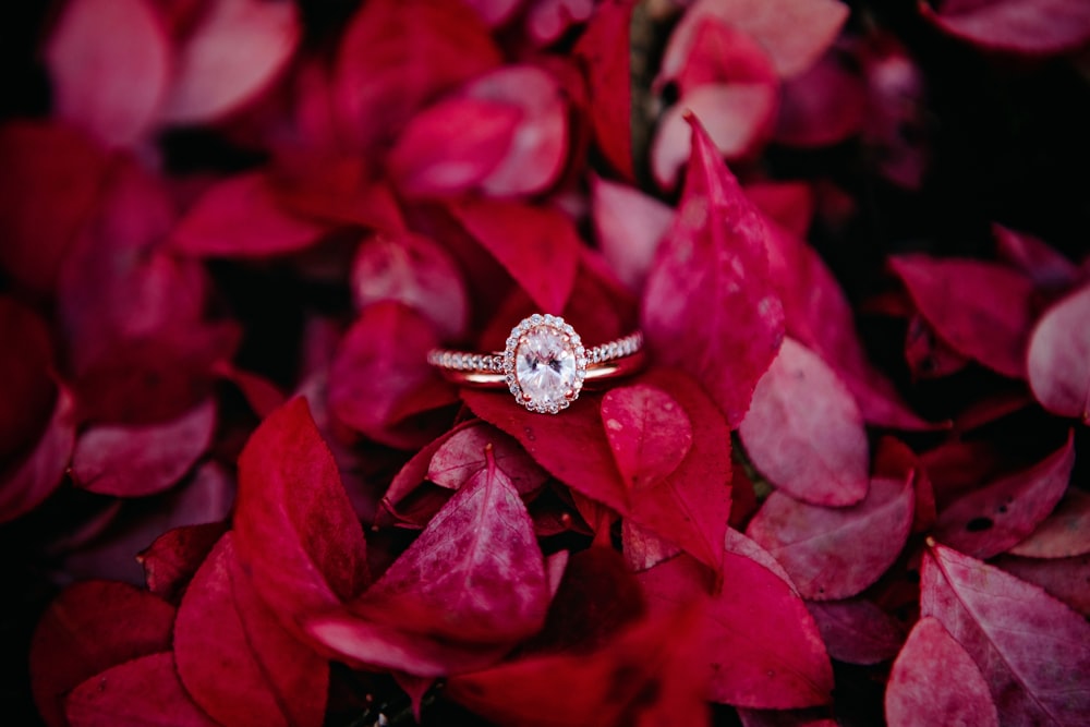 a close up of a ring on a red flower