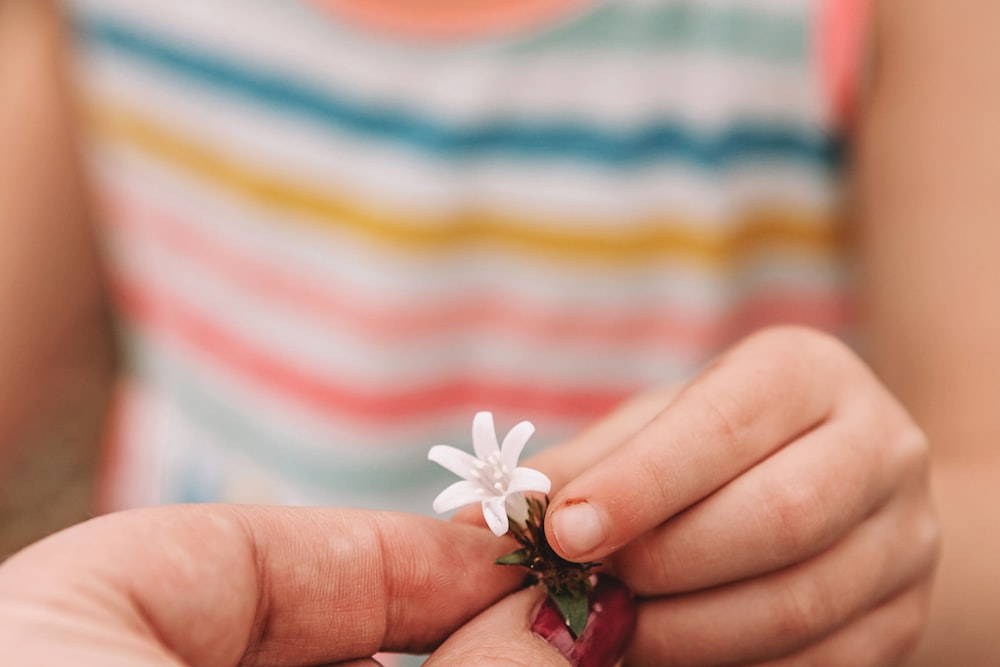 white petaled flower