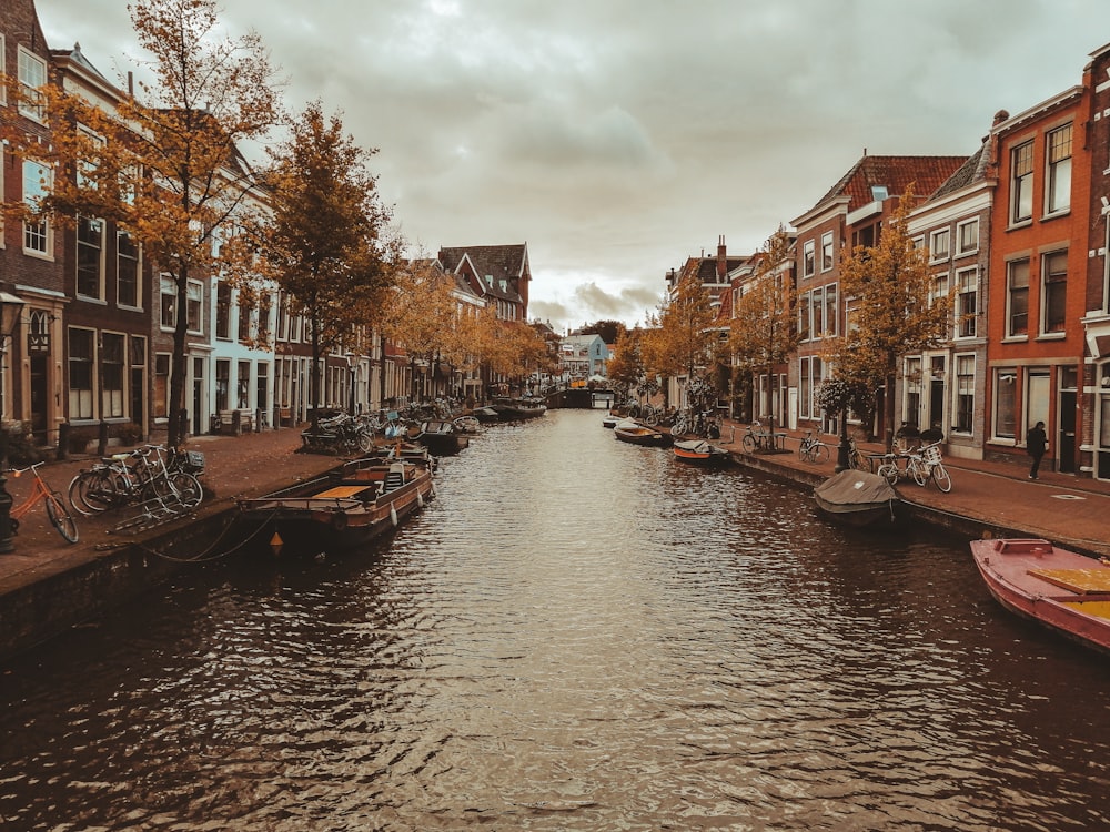 gondolas on body of water