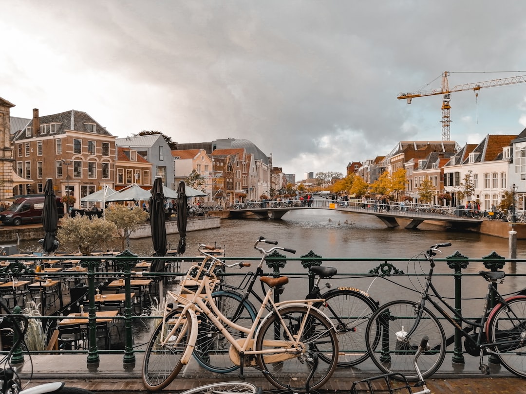 Town photo spot Leiden Witte Huis