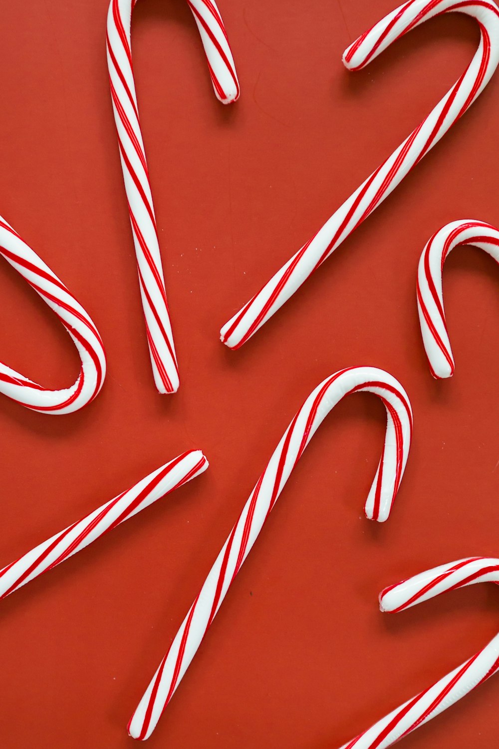 white and red candy canes