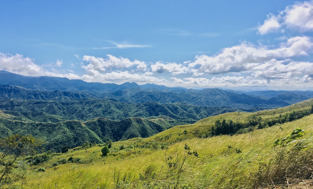 landscape photography of grass field