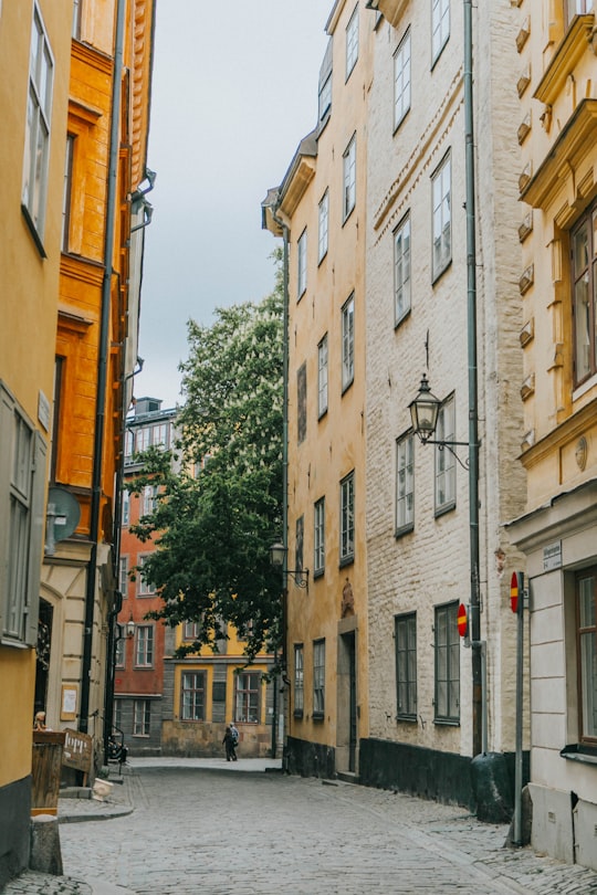 shallow focus photo ofhouses during daytime in Gamla stan Sweden
