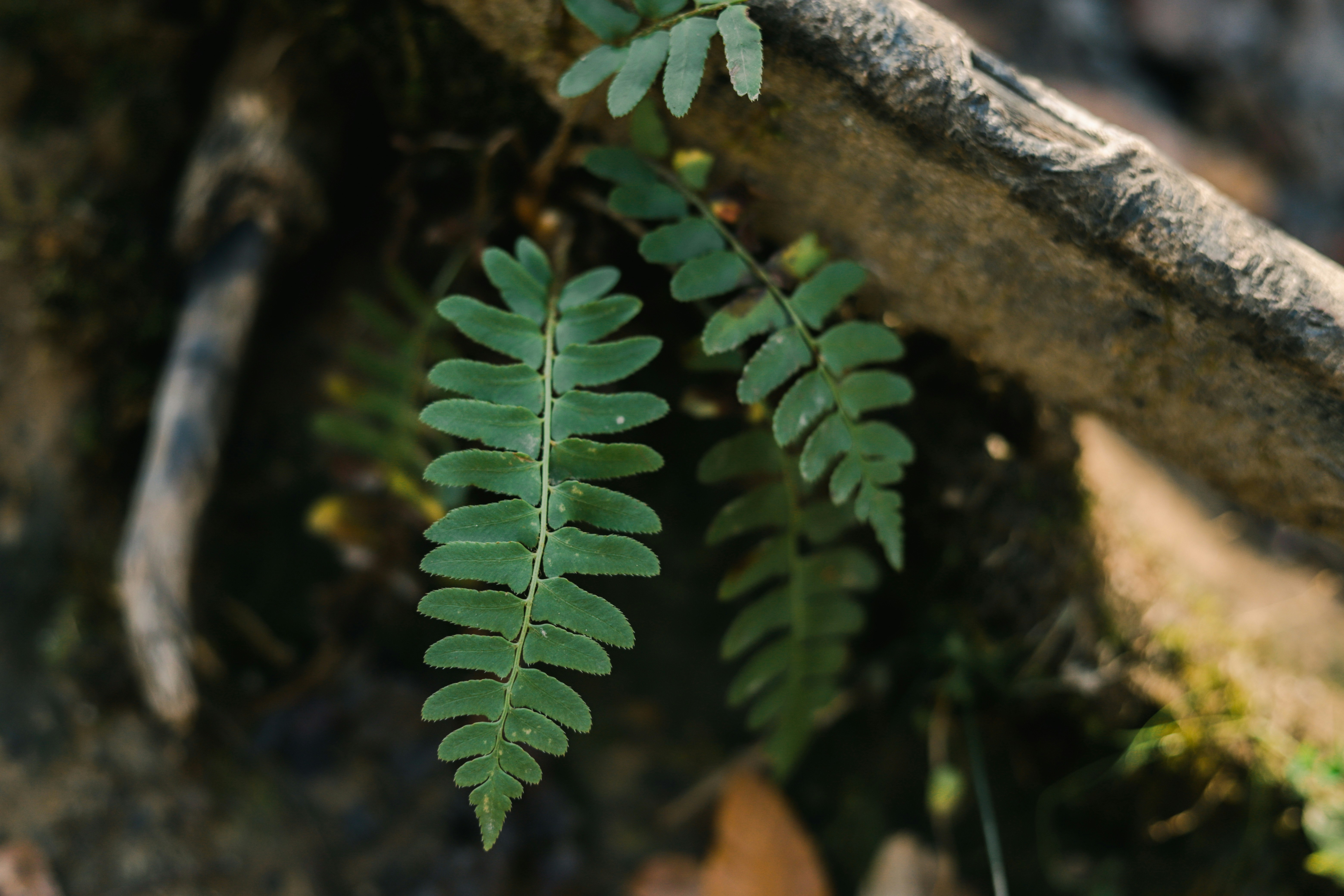 Photo by marissadaeger