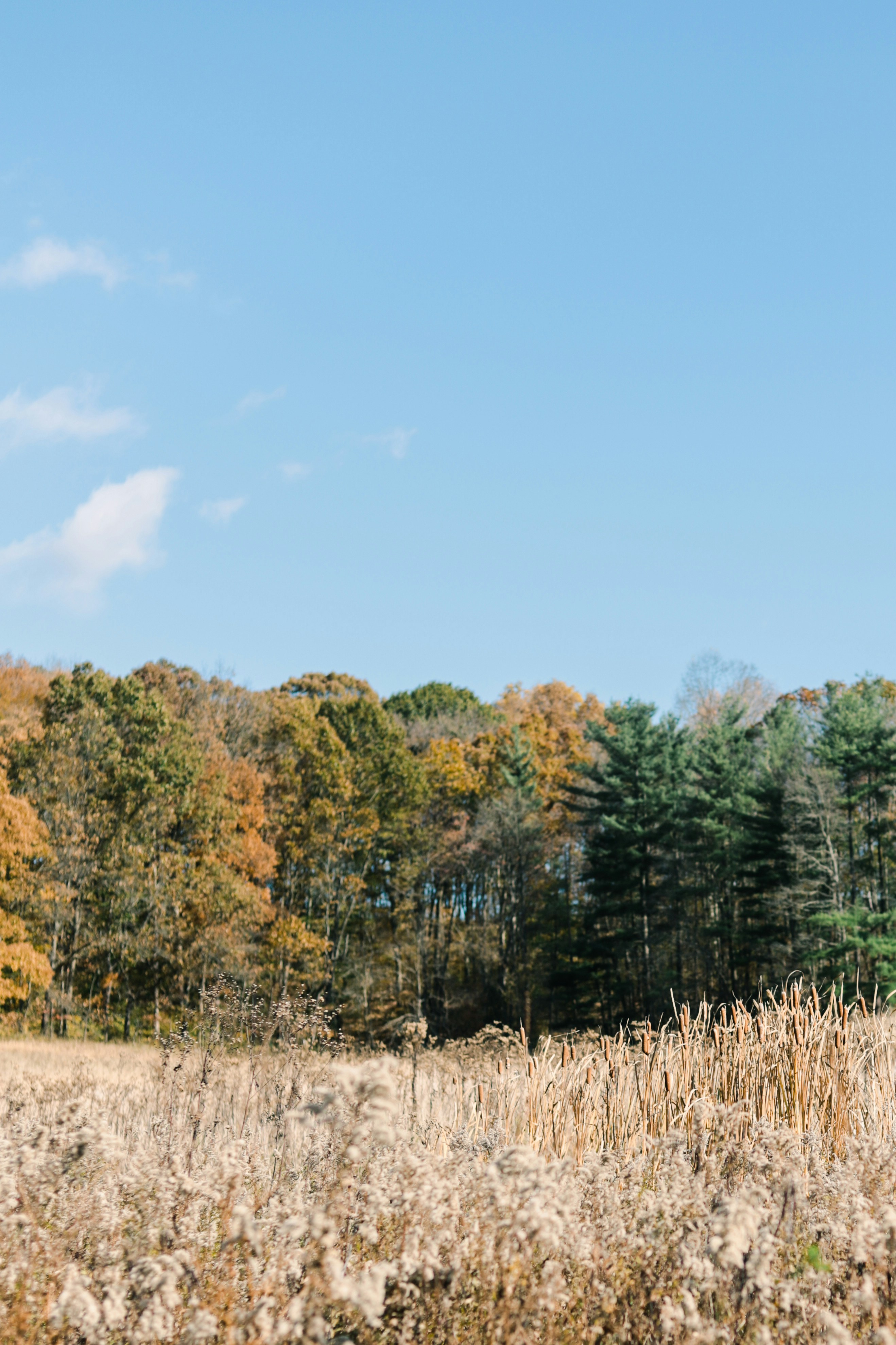 Photo by marissadaeger