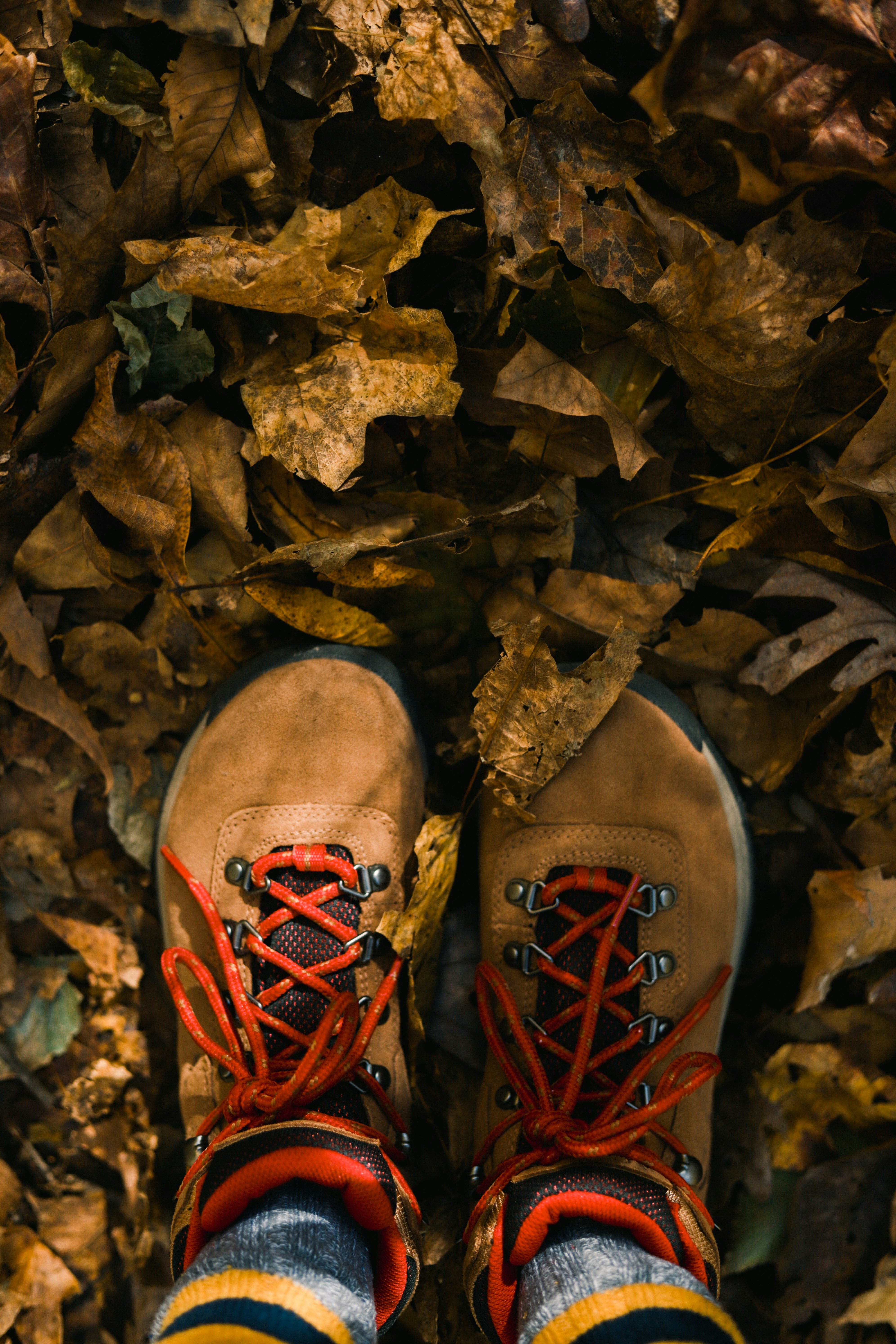 Photo by marissadaeger