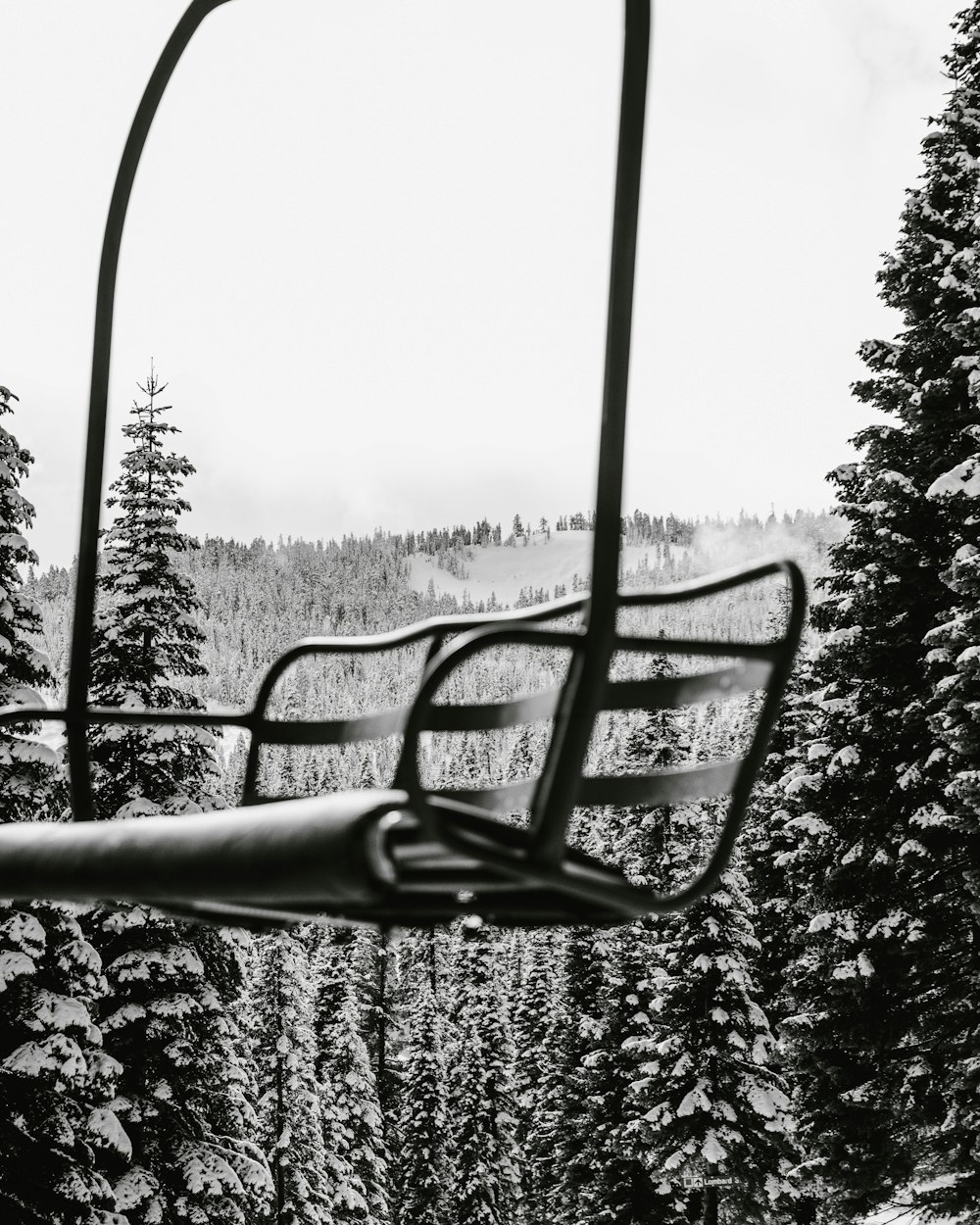 empty bench