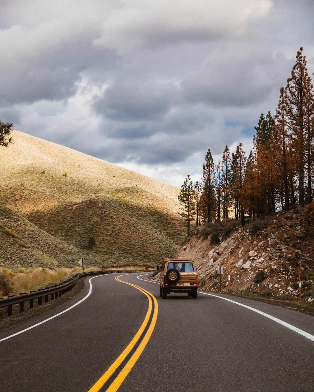 brown SUV on road near trees and mountain